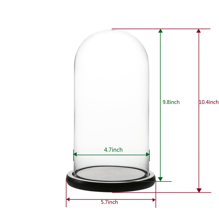 Gala Houseware Glass Display Dome Cloche, Pack of 12, Decorative Clear Bell Jar with Black MDF Base (4.7 x 10.4)