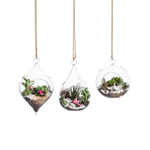 Charger l&#39;image dans la galerie, Set of 3 Glass Hanging Planter Terrarium Containers, Large Size (Dia: 4.72&quot; / 4.72&quot; / 5.12&quot;), Succulent Air Plant Glass Holders.4.5‘’x 7.3‘’
