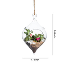 Charger l&#39;image dans la galerie, Set of 3 Glass Hanging Planter Terrarium Containers, Large Size (Dia: 4.72&quot; / 4.72&quot; / 5.12&quot;), Succulent Air Plant Glass Holders.4.5‘’x 7.3‘’
