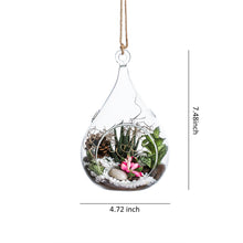 Charger l&#39;image dans la galerie, Set of 3 Glass Hanging Planter Terrarium Containers, Large Size (Dia: 4.72&quot; / 4.72&quot; / 5.12&quot;), Succulent Air Plant Glass Holders.4.5‘’x 7.3‘’
