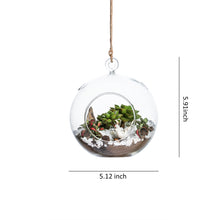 Charger l&#39;image dans la galerie, Set of 3 Glass Hanging Planter Terrarium Containers, Large Size (Dia: 4.72&quot; / 4.72&quot; / 5.12&quot;), Succulent Air Plant Glass Holders.4.5‘’x 7.3‘’
