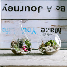 Charger l&#39;image dans la galerie, Set of 3 Glass Hanging Planter Terrarium Containers, Large Size (Dia: 4.72&quot; / 4.72&quot; / 5.12&quot;), Succulent Air Plant Glass Holders.4.5‘’x 7.3‘’
