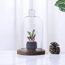 Load image into Gallery viewer, Gala Houseware Clear Glass Cloche Dome Bell Jar, 5.1 x 9 inches, with Solid Acacia Wooden Stand, Perfect Display Case for Antiques, Home, and Rustic Kitchen Décor
