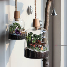 Load image into Gallery viewer, Set of 2 Glass Hanging Planter Terrarium Containers, Air Plant Hanging Holders with Rope(5.9‘’x 8.9&#39;&#39;+ 4.5&#39;&#39;x 7.3‘’)
