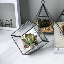 Charger l&#39;image dans la galerie, Glass Geometric Terrarium Container 5.4X4.7inch, 3.8X3.8inch and 4.1X6.4inch Tabletop for Succulent &amp; Air Plant (Black, 3 Asst)
