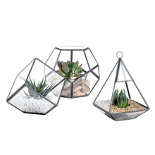 Charger l&#39;image dans la galerie, Glass Geometric Terrarium Container 5.4X4.7inch, 3.8X3.8inch and 4.1X6.4inch Tabletop for Succulent &amp; Air Plant (Black, 3 Asst)
