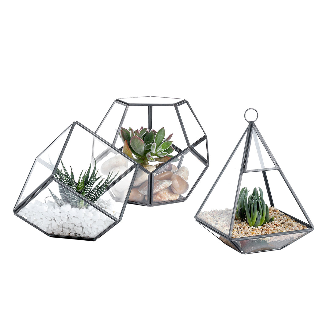 Glass Geometric Terrarium Container 5.4X4.7inch, 3.8X3.8inch and 4.1X6.4inch Tabletop for Succulent & Air Plant (Black, 3 Asst)