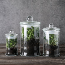 Charger l&#39;image dans la galerie, Mini Glass Apothecary Jars-Cotton Jar-Bathroom Storage Organizer Canisters Set of 3
