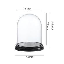 Load image into Gallery viewer, 5.9 inch x 8.5 inch Decorative Glass Display Cloche Dome with Black Wood Base
