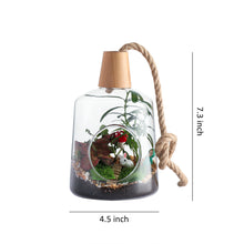 Load image into Gallery viewer, Set of 2 Glass Hanging Planter Terrarium Containers, Air Plant Hanging Holders with Rope(5.9‘’x 8.9&#39;&#39;+ 4.5&#39;&#39;x 7.3‘’)
